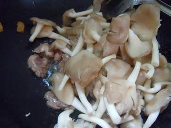 袖珍菇炒肉片的做法图解5