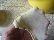 肉松面包卷的做法图解5