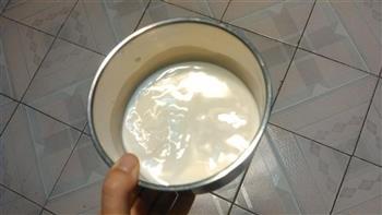 自制酸奶的做法图解6