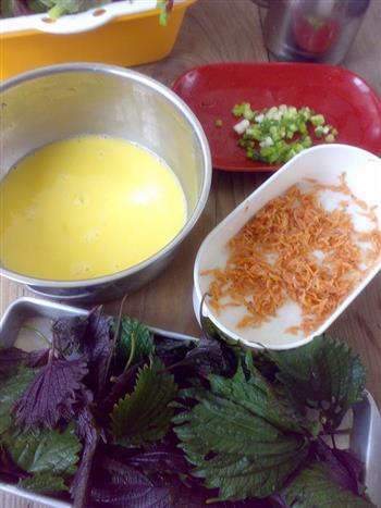 紫苏虾米煎蛋的做法图解1