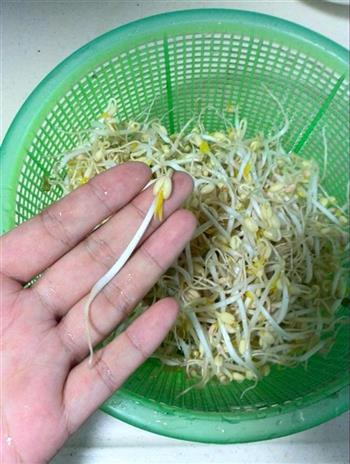 自发绿豆芽的做法步骤6
