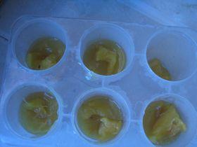 菠萝冰棍的做法步骤6