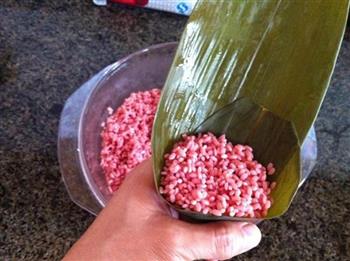苋菜汁糯米粽的做法步骤6
