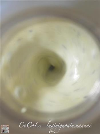 绿奇异果牛酸奶的做法图解3