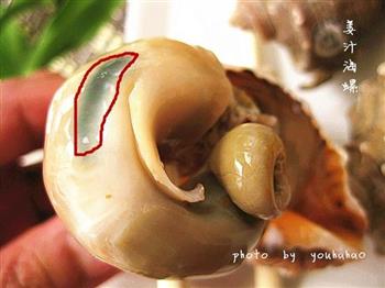 姜汁海螺的做法步骤9