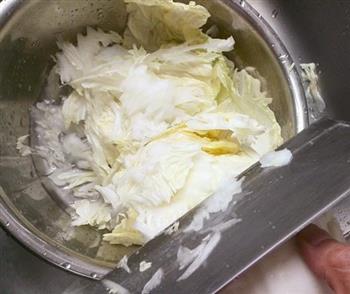 脂渣炖白菜豆腐的做法步骤3
