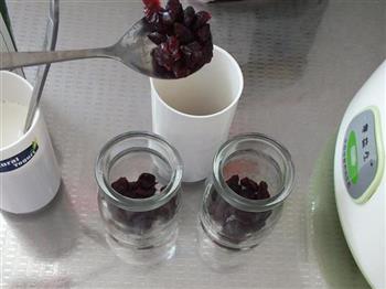 蔓越莓酸奶的做法步骤5