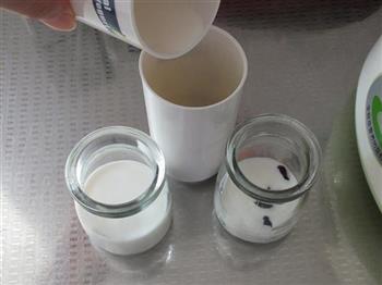 蔓越莓酸奶的做法步骤6