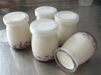 蔓越莓酸奶的做法步骤9