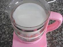 双歧因子酸奶的做法步骤7