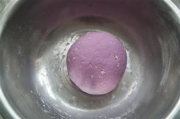 紫薯全麦馒头的做法图解5