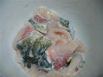 椒麻水煮鱼片的做法步骤2