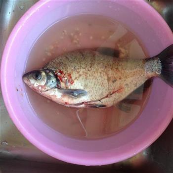 红烧鳊鱼的做法步骤1