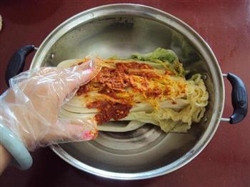 韩国泡菜的做法步骤20