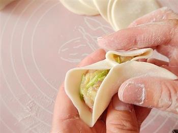 西葫芦鲜肉水饺的做法步骤9