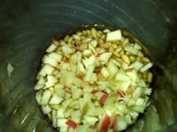 莲藕苹果豆浆的做法图解6
