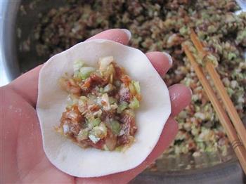 白菜肉水饺的做法步骤10