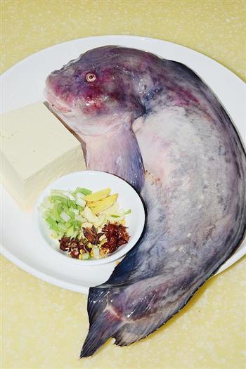 海兔鱼炖豆腐的做法步骤1