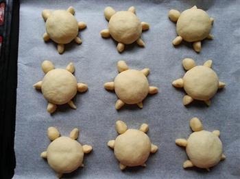 小乌龟肉松面包的做法步骤11