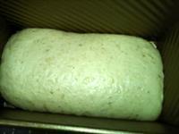 燕麦汤种面包的做法步骤16
