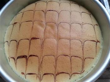 大理石纹重乳酪蛋糕的做法图解21