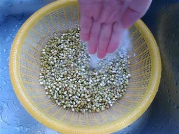 自制绿豆芽的做法步骤6