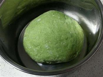 手工翡翠菠菜面的做法步骤8
