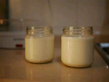 自制原味酸奶的做法步骤4
