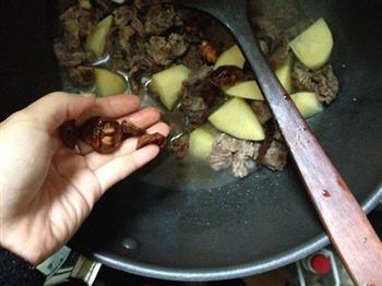 土豆煲牛腩的做法步骤12