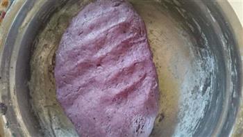 紫薯奶味饼干的做法图解10