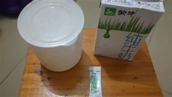 蜂蜜自制酸奶的做法步骤2