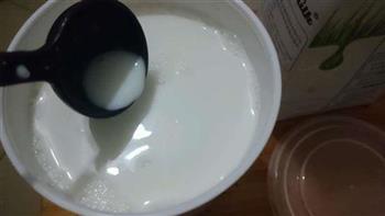 蜂蜜自制酸奶的做法图解6
