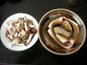 秀珍菇炖海鲶鱼的做法图解1