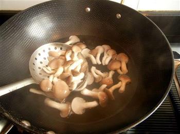 秀珍菇炖海鲶鱼的做法图解10