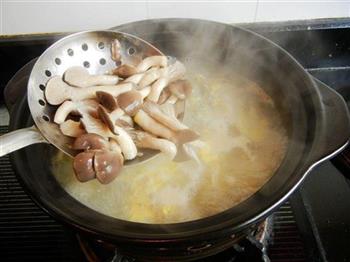秀珍菇炖海鲶鱼的做法步骤11