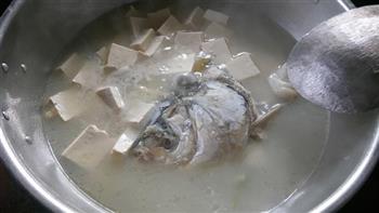 鱼头炖豆腐的做法步骤5