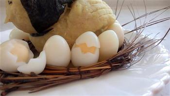 母鸡抱蛋孵小鸡的做法图解13