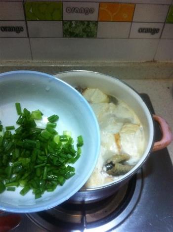 豆腐泥鳅汤的做法步骤7