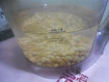 核桃豆浆的做法步骤4