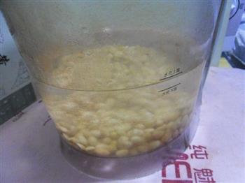 苹果豆浆的做法步骤4