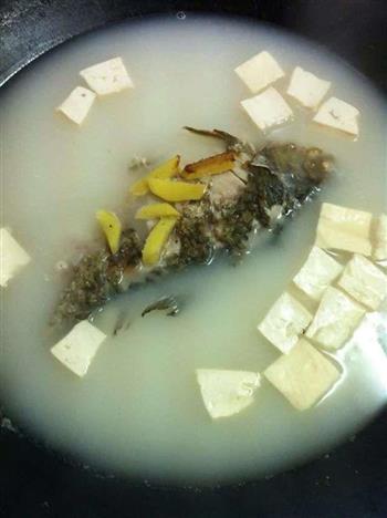 奶白鲫鱼豆腐汤的做法步骤9