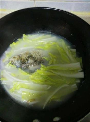 白菜鲫鱼汤的做法步骤5