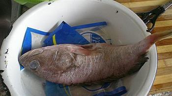 清蒸石斑鱼的做法步骤1