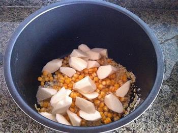 山药玉米小米粥的做法步骤5