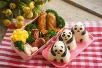熊猫造型饭团便当的做法步骤14
