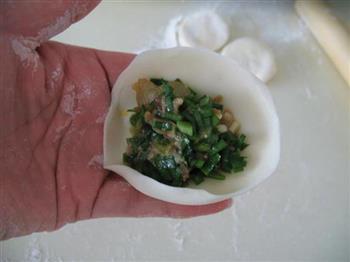 韭菜虾仁猪肉饺子的做法步骤10