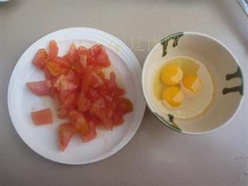 西红柿盖浇饭的做法图解3