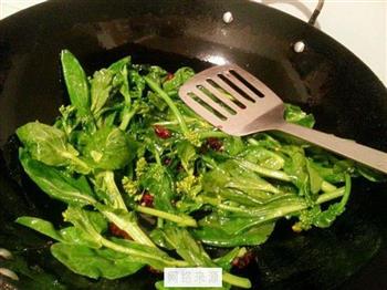 清炒油菜苔的做法步骤3
