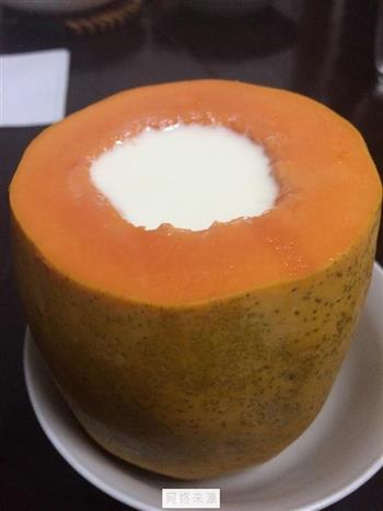 木瓜椰浆牛奶冻的做法图解6