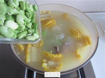 玉米蚕豆排骨汤的做法步骤9
